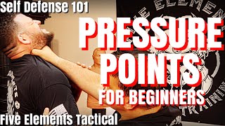 SELF DEFENSE PRESSURE POINTS FOR BEGINNERS  SELF DEFENSE 101  Five Elements Tactical [upl. by Abel847]