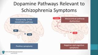 Psychopharmacology Antipsychotics amp The Dopamine Hypothesis [upl. by Tertia818]