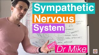 Sympathetic Nervous System [upl. by Einhapets]