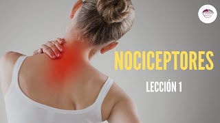 1 NOCICEPTORES FISIOLOGÍA DEL DOLOR [upl. by Caresse]