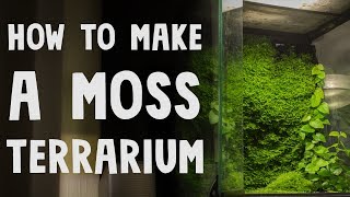 How to Make a Moss Terrarium [upl. by Enetsuj]