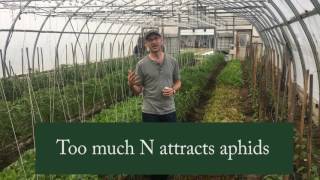 How to Control Aphids in Your Greenhouse [upl. by Nirahs653]