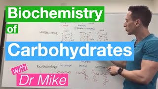 Carbohydrates  Biochemistry [upl. by Bubalo]