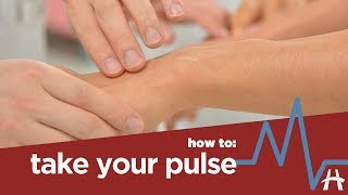 How to take your pulse [upl. by Maryn]