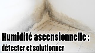 Humidité ascensionnelle  explications identification et solutions [upl. by Sumedocin]