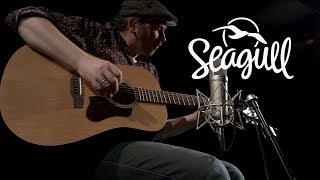 Seagull S6 Acoustic Guitar  Demonstration [upl. by Somisareg]