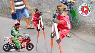 FUNNY MONKEY TOPENG MONYET LUCU Full Attraction [upl. by Myra]