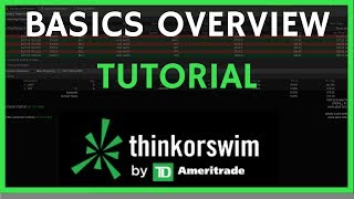 ThinkorSwim Tutorial Basics Overview for Beginners [upl. by Aihsemot]