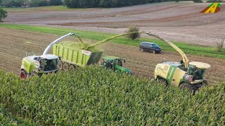 Großeinsatz Mais häckseln 2019  Krone BigX 850 Claas Jaguar 970 farmer corn harvest Maisernte [upl. by Anekam482]