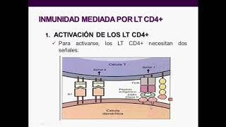 Introducción a la inmunología humana  Clase 7 Linfocitos T [upl. by Dotty]