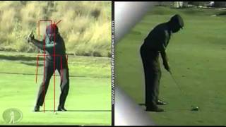 Swing Analysis Calvin Peete [upl. by Allistir815]