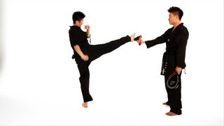 How to Do a Roundhouse Kick  Taekwondo Training [upl. by Ardiedak343]