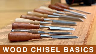 Understanding The Different Types Of Wood Chisels [upl. by Oiram527]