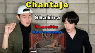 Chantaje Reacción por coreano  Shakira  Maluma [upl. by Tiler394]