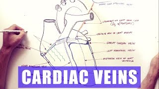 Varicose Vein Symptoms and Signs [upl. by Fionna]