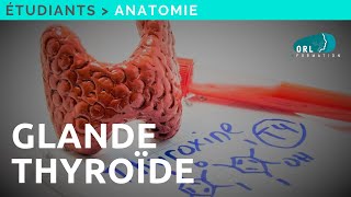 10 symptômes des problèmes de thyroïde [upl. by Clarice567]