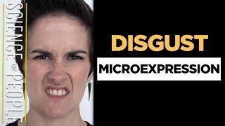 Disgust Microexpression  How To Read Facial Expressions [upl. by Zebedee]