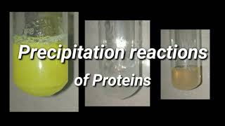 Precipitation Reactions of Proteins  Biochemistry [upl. by Shafer]