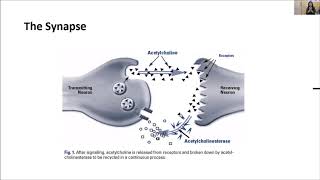 Donepezil and Memantine by DrShabina Sheth [upl. by Huxham]