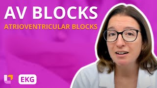 Atrioventricular Blocks AV Blocks  EKG Interpretation  LevelUpRN [upl. by Wester]