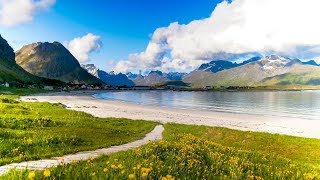 Uplifting Music  light positive happy music Gullrosøya  1 hour [upl. by Sheilah690]