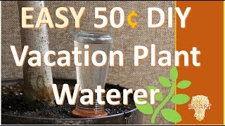 Easy and Cheap DIY Vacation Plant Watering [upl. by Collins]