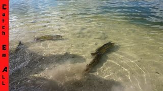 BEST FISHING SPOT IN FLORIDA for Peacock Bass [upl. by Adyam]