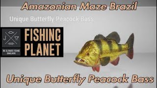 Unique Butterfly Peacock Bass  Amazonian Maze Brazil  Fishing Planet Guide [upl. by Llezom]