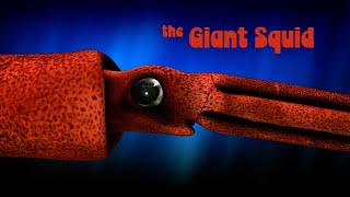 Inside Nature’s Giants – Giant Squid [upl. by Nnairak]