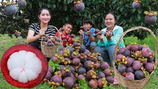 Pick Fresh Mangosteen For Eating  Happy Eating Fruit From the Tree  Fresh And Sweet Mangosteen [upl. by Aihk240]