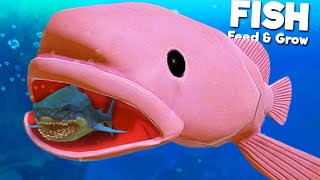 Ugly BLOBFISH vs Prehistoric Megalodon  Feed and Grow Fish [upl. by Yrovi719]