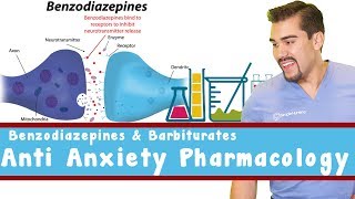 Anti Anxiety Pharmacology Benzodiazepines and Barbiturates [upl. by Rolph]