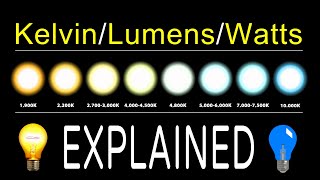 How To Chose LED Bulbs  Kelvin Lumens amp Watts EXPLAINED [upl. by Larimor175]