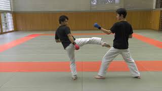 【KARATE TUTORIAL】Kumite Tactics Against Bigger Opponents [upl. by Idnym498]