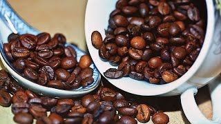 How to Grow your own Coffee [upl. by Yrem]