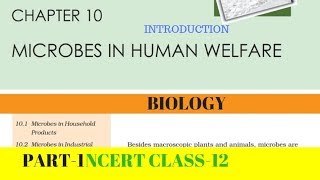 Part1 MICROBES IN HUMAN WELFARE chapter10 NCERT class 12th biology [upl. by Annaiel]