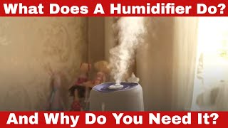 What Does a Humidifier Do Why Do You Need It [upl. by Oakley]