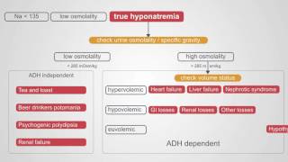 Diagnosing Hyponatremia A Comprehensive Algorithm [upl. by Aelahc]