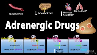 Adrenergic Drugs  Pharmacology Animation [upl. by Jefferey]