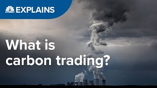 What is carbon trading  CNBC International [upl. by Lithea]