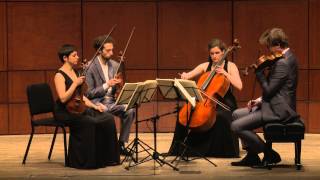 Beethoven String Quartet Op 132 in A Minor  Ariel Quartet full [upl. by Laughry]