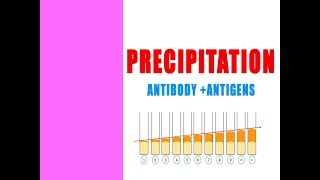 Precipitation Between Antigens amp Antibodies [upl. by Gabriele600]