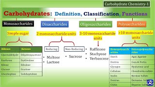 How Carbohydrates Impact Your Health [upl. by Abekam]