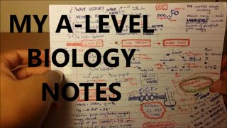 My Biology Notes  A Level  GCSE [upl. by Ravens340]