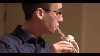 F Schubert  Ständchen Serenade for Flute and Piano HD [upl. by Haissi]