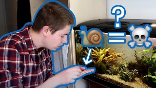 How To Tell If Your Aquarium Snail Is Dead or Just Sleeping [upl. by Aenert583]