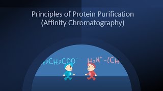 Principles of Protein Purification Affinity Chromatography [upl. by Klayman]