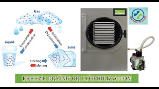 Freeze drying or Lyophilization in depth [upl. by Ettennej]