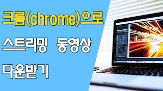 크롬chrome으로 스트리밍 동영상 다운받기 [upl. by Asennav]