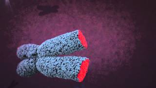 Telomere animation [upl. by Adiaj]